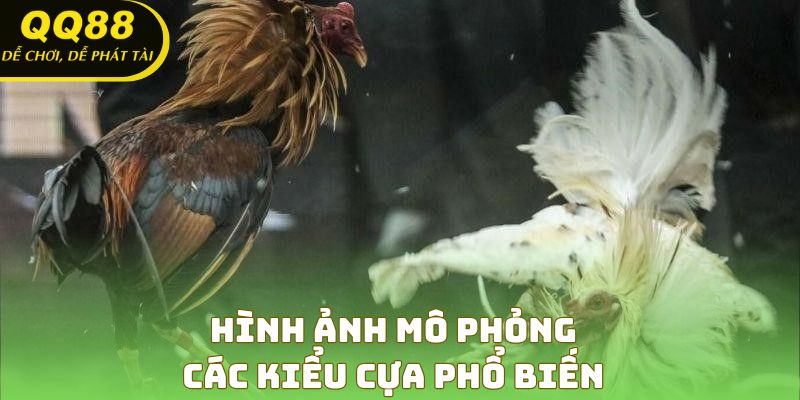 Hình ảnh mô phỏng các kiểu cựa phổ biến