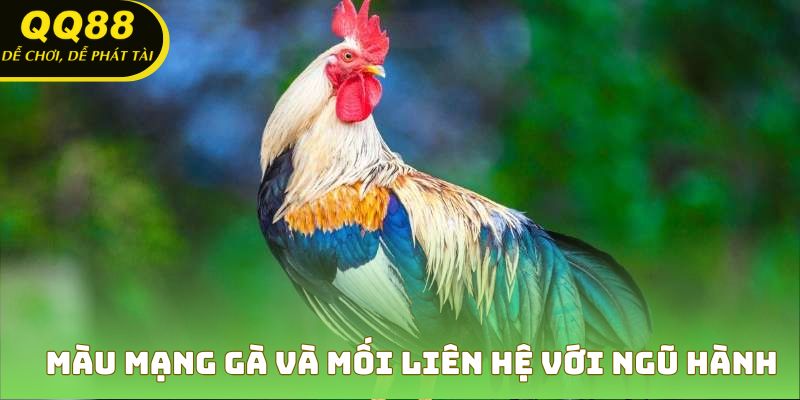 Hiểu rõ mối tương quan giữa màu mạng gà và phong thủy ngũ hành